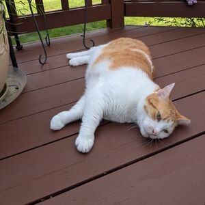 Meet your Posher, Sam